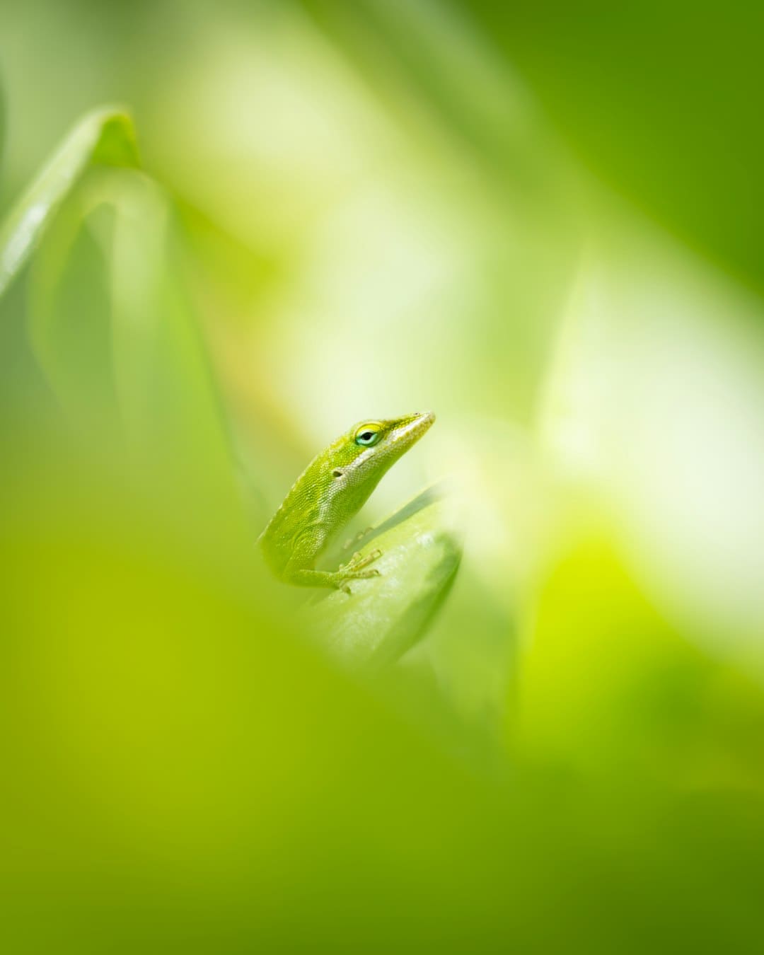 中信建投：长期趋势仍未改动 最优战略是切入轻视值消费与周期板块